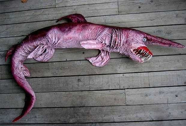 صور أسماك غريبة وخطيرة تثير الخوف 2017-عالم الصور